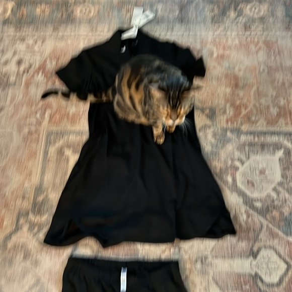 NWT ADIDAS WOMENS GOLF/TENNIS) ATHLETIC DRYFIT SKIRT w/SHORTS (w cat & child ) - Picture 9 of 10